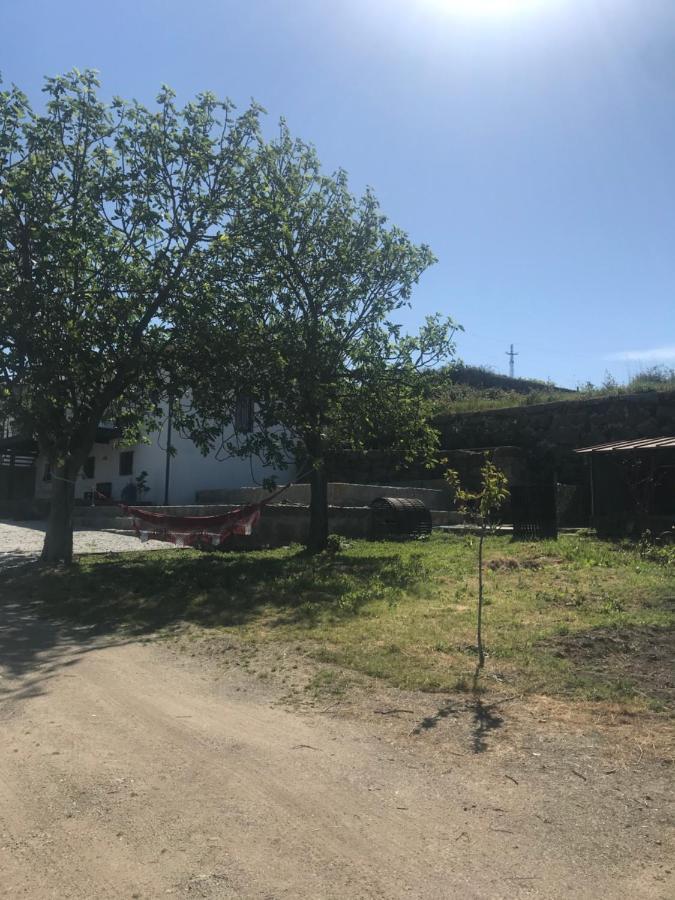 Casa Nova Villa Guimaraes Bagian luar foto